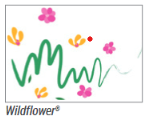 Wild Flower Print